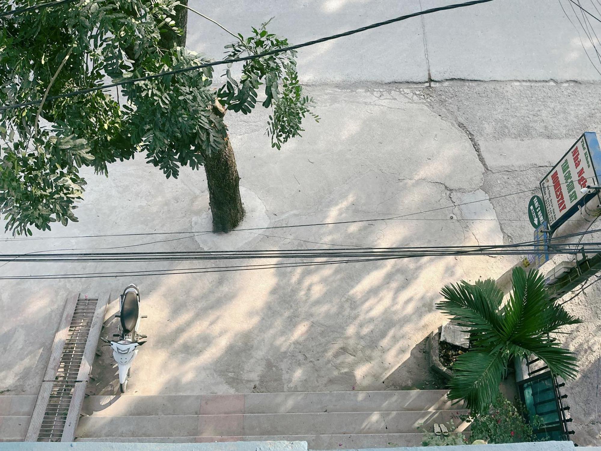 نينه بينه Tam Coc Sunset Homestay المظهر الخارجي الصورة